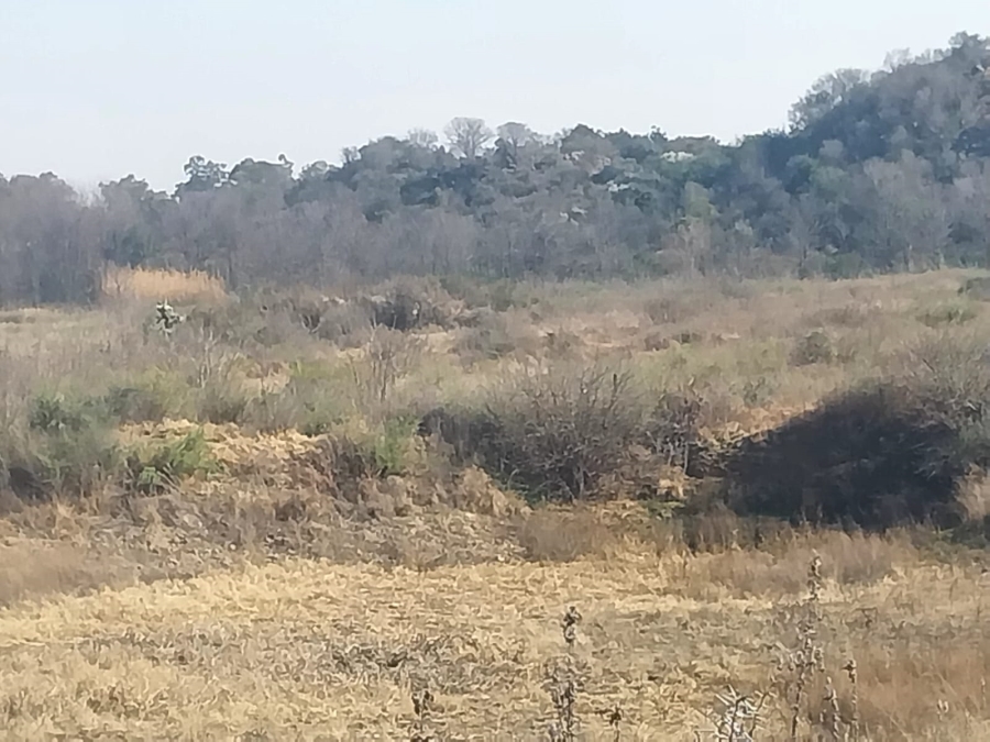 0 Bedroom Property for Sale in Koppies Free State